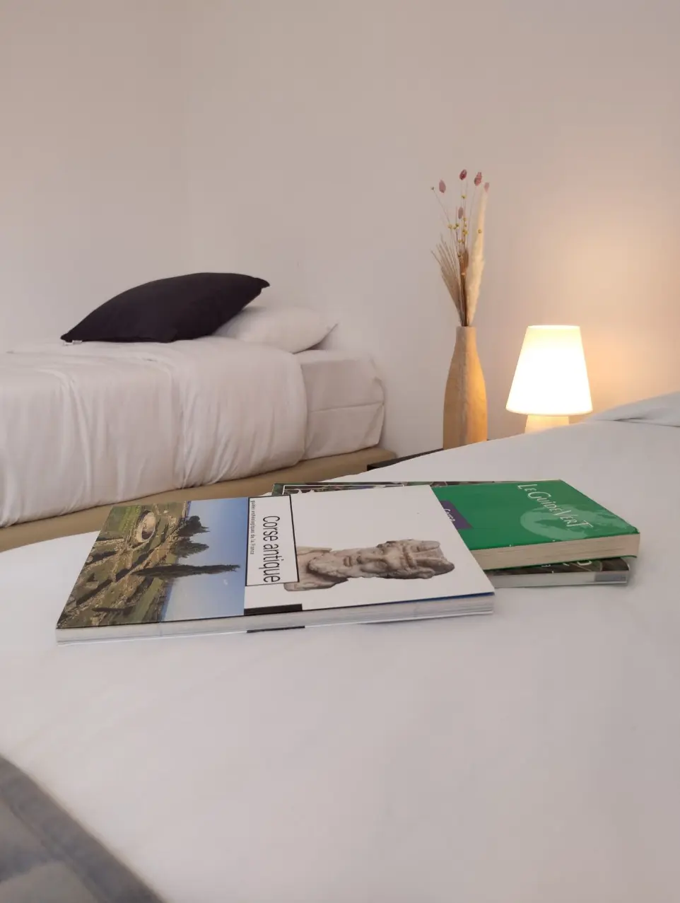 villa location bonifacio