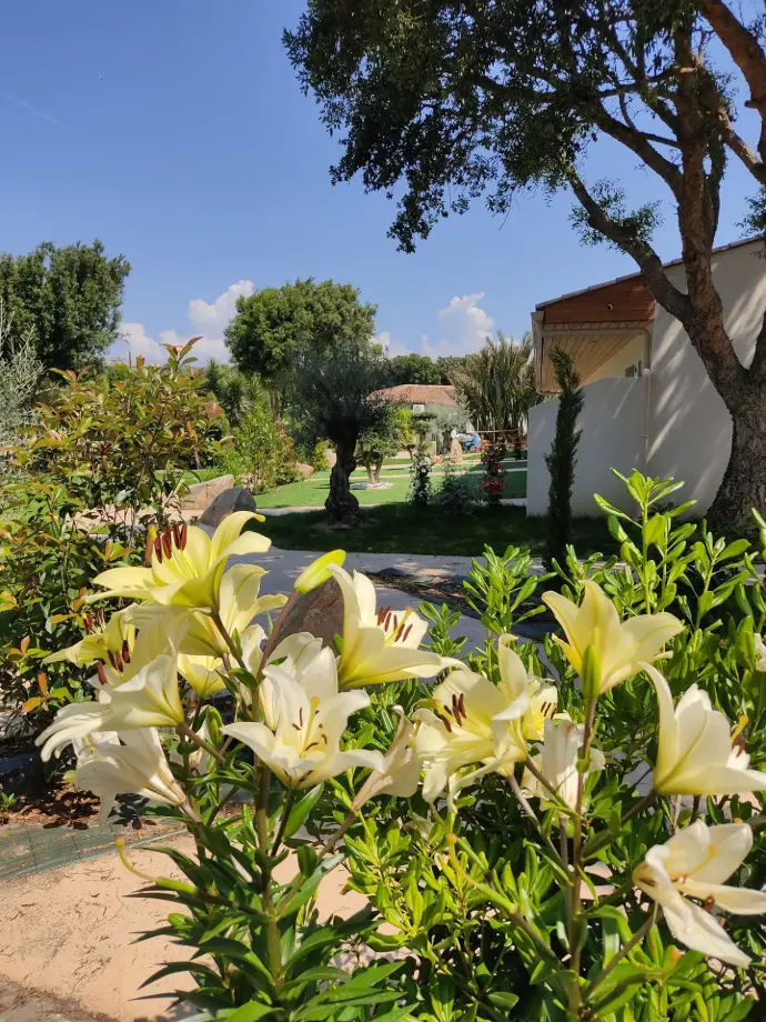 hotel padolo bonifacio